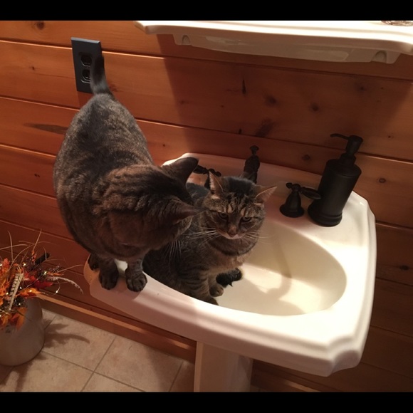 Meet your Posher, Deborah - Picture 1 of 1